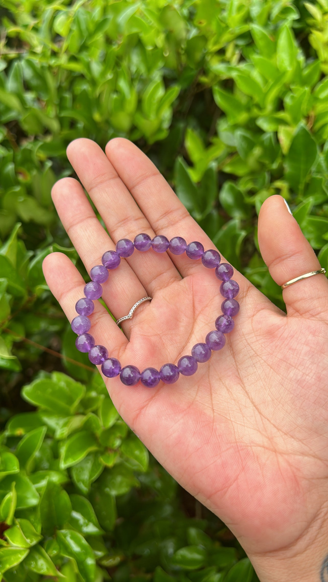 Amethyst Bracelet